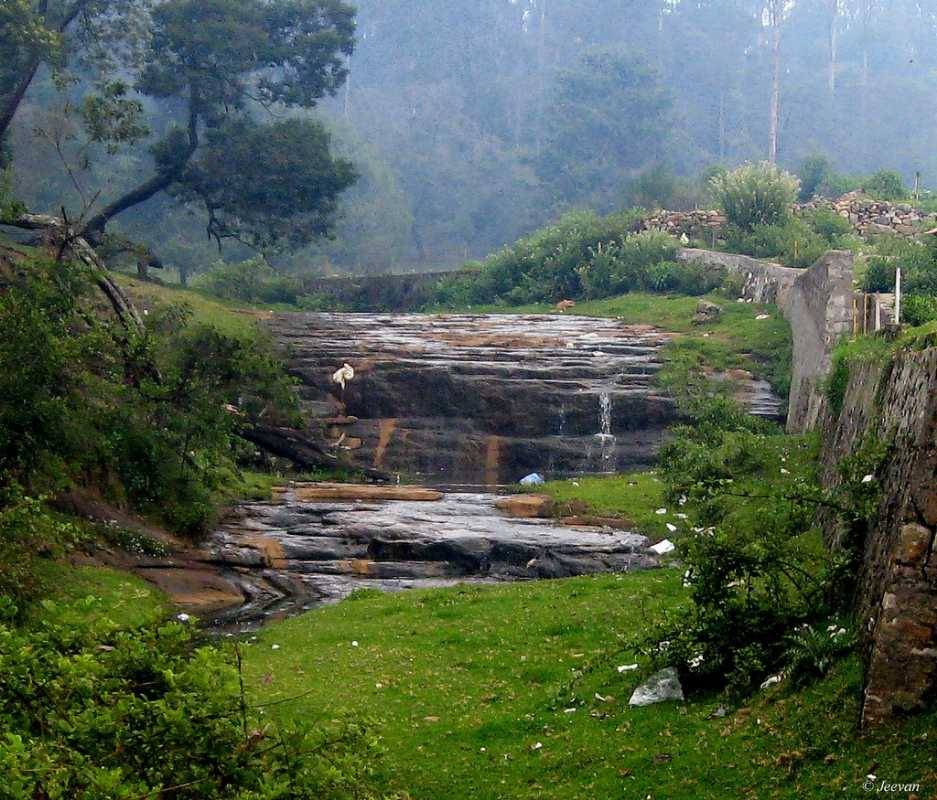 bear-shola-falls-img